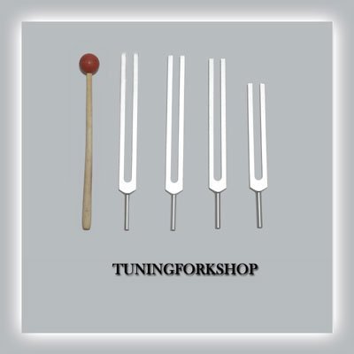 TFS Tuningforkshop 4 Pc Energy Practitioner Tuning Fork for Healing with Mallet+Pouch
