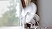 Caframo Chinook, 2-Speed Desk Fan, Cage Free, Easy To Clean Soft Blades, Canadian Made, 8.8