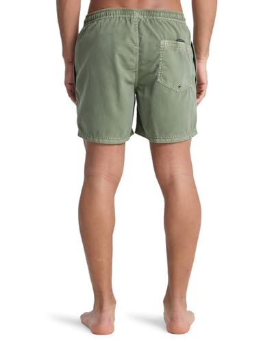 Quiksilver Herren Everyday Surfwash Volley 15 Boardshorts, Traubenblatt, M