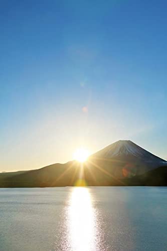 y{̕i|XgJ[hAIRzR {΂̕xmRƑẑ͂nKLt Be/YOSHIO IWASAWA