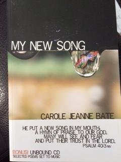 Paperback My New Song Book