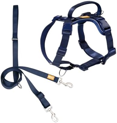 DF Freedom No Pull Martingale Dog Harness and Leash Set, Front Cl...
