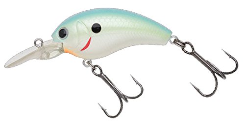 ノリーズ(Nories) クランクベイト ワーミングクランクショット 43mm 6g シトラスシャッド 307 ルアーのサムネイル