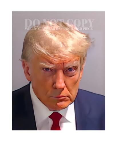 Mugshot de Donald Trump photo 28x35 cm pour décoration murale de salon ou bureau de collectionneur