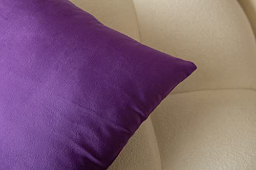 CUSHY HOME Pack of 2 Velvet Soft Decorative Square Throw Pillow Case Cushion Covers Pillowcases for Livingroom Sofa Bedroom with Invisible Zipper 45cm x 45cm 18x18 Inch Set of Two Purple - Image 3