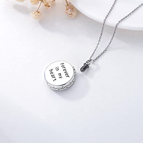 Romantic Work Pet Cremation Jewelry For Ashes 925 Sterling Silver Pet Urn Pendant Necklace For Cat Dog Ashes Forever In My Heart Pet Memorial Gifts For Women Girls #TOP2