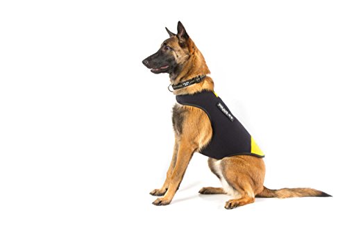 Julius-K9, IDC Neopren Hundekleidung