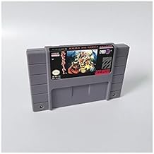 Classicgame Brutal Paws of Fury - Action Game Card US Version English Language (Grey)