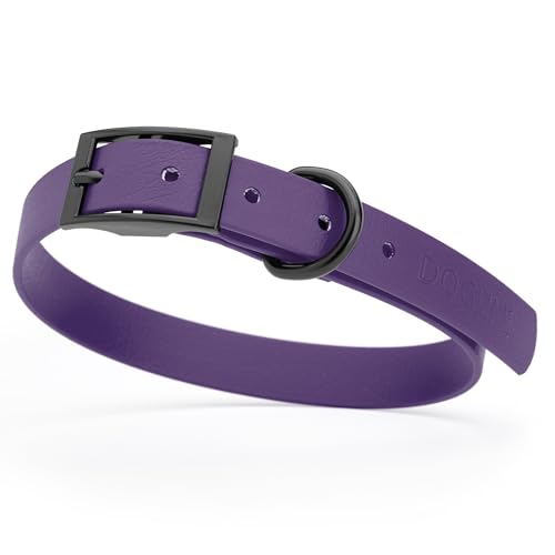 Image of Dogline Biothane Waterproof Dog Collar Strong Coated Nylon Webbing with Black Hardware Odor- Proof for Easy Care Easy to Clean High Performance Fits Small Medium or Large Dogs, Violet Purple