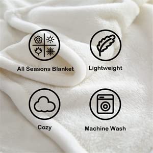 Bducok Ocean Beach Flannels Blanket,Tropical Palm Tree Hawaii Ocean Throw Blanket Super Soft Sunshine Beach Coastal Nature Themed Four Seasons Blanket(Ocean Blankets 3003-80"X60") #TOP4