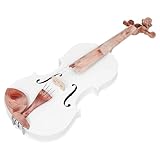 Violine 4/4 Kunststoffvioline Inklusive Zubehör Für Anfänger Und Erwachsene Handgefertigte Musikinstrumente(Type2)