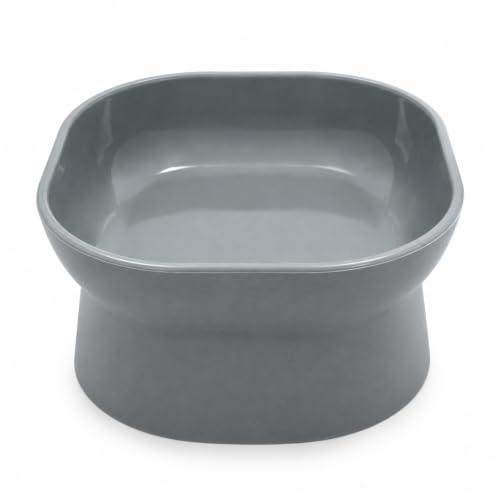 Image of Kipenzi Elevated Pet Bowl for Cats & Small Dogs | Food Grade Feeding Bowl | Raised Ergonomic Design | Stable & Easy to Clean | Modern Food & Water Bowl | Grey (Pack of 1)