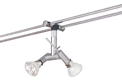 Preisvergleich Produktbild Paulmann Rail System Light&Easy Spice Spot Ginger, 2 x