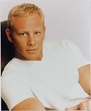 ブロマイド写真★海外ドラマ『ビバリーヒルズ高校・青春白書』スティーブ(イアン・ジーリング)・91