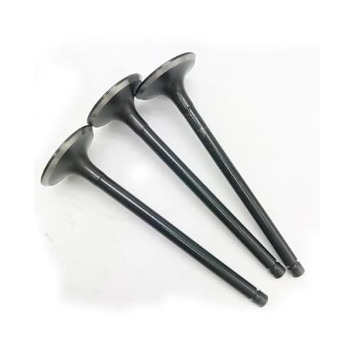 Soupapes d'admission d'échappement pour fuite compression HS700 - 4