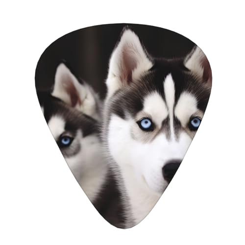 Médiators de guitare Husky pour jouer de l'acoustique et de la basse en répétition
