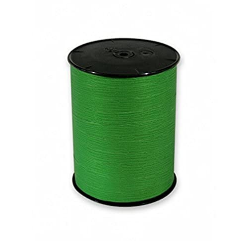 Clairefontaine 601521C - Une bobine de Ruban Bolduc Mat - 250mx10mm - Vert Clair - Ruban décoratif cadeau, DIY, Emballage Cadeau