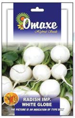 Radish Imported White Round globe Exotic Seeds - Pack of 2 Kitchen garden seeds packet-image-4