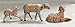 Fontanini by Roman Inc., 3 Piece Set of Sheep Family, 5