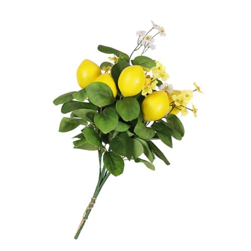 STOBOK tFCN} ?GV~[V ԑ e[uZ^[ Oz[fR[V ʐ^Bep