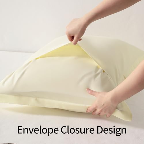 NTBAY Standard Pillow Shams - 2 Pack Brushed Microfiber 20x26 Sham Covers - Super Soft and Cozy, Wrinkle, Fade, Stain Resistant 20x26 Inches Oxford Pillowcases, Ivory
