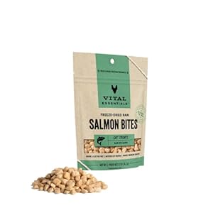 Vital Essentials Freeze Dried Raw Cat Treats, Salmon Bites, 1.1 oz