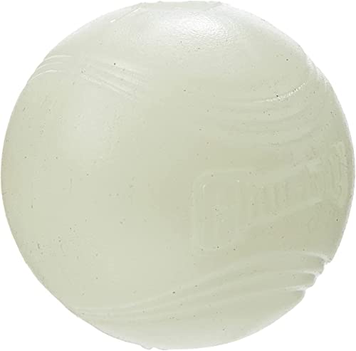 Chuckit! (4 Pack) Max Glow in The Dark Fetch Dog Toy Small