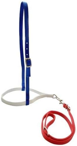 Showman Red, White & Blue Nylon Noseband Tie Down