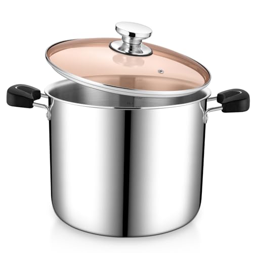12 Quart Large Stainless Steel Pot, P&P CHEF Tri-Ply Cooking Stock Pot with Lid for Pasta Soup Vegetables, Work on Multi Stoves, Heavy Duty & Dishwasher Safe