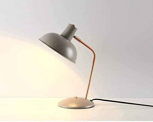 Lampe de bureau design simple en fer gris au caractère unique