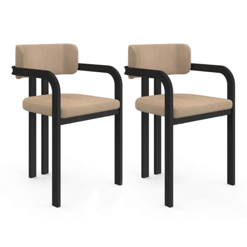 IDMarket - Lot de 2 chaises de Salle à Manger, fauteuils de Table ESMA