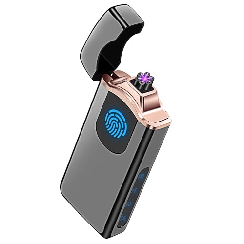 Triple Arc Plasma Lighter 500 mAh Battery USB Rechargeable Windproof Cool Lighter (Black)