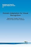 Domain Adaptation for Visual Recognition (Foundations and Trends in Computer Graphics and Vision)