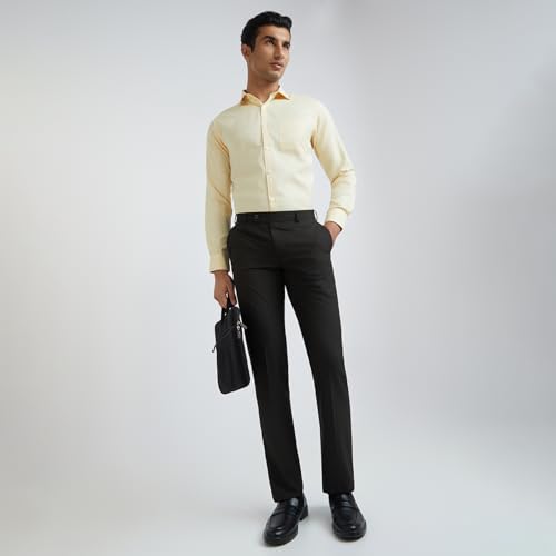 Image of Park Avenue Men Regular Fit Checks Pattern Poly Viscose Blend Flat Front Formal Trouser