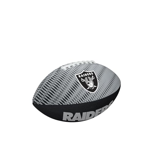 Image of WILSON Unisex NFL Team Tailgate Footballs