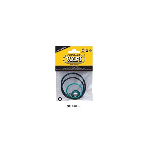 Ama - Nebulizzatore a Schiena Professionale, 15 l, Pompa in plastica Volpi