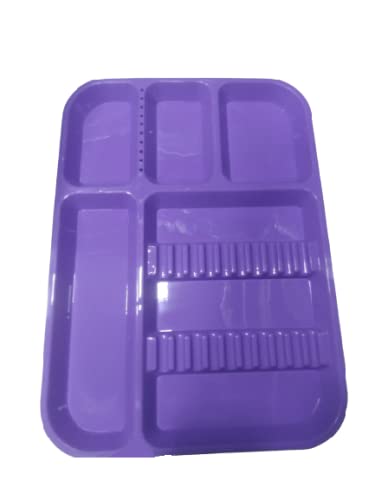 NMD DENTAL INSTRUMENT TRAY BIG (PACK OF 1PC) (PURPLE) (B08P3K7K1L) Amazon Price History, Amazon Price Tracker