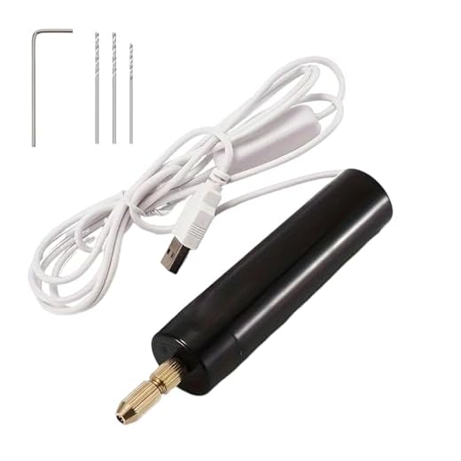 Mini Taladro de Mano Eléctrico Mini Taladro Eléctrico Taladradora Electrica Taladro Eléctrico DIY Micro Taladro Manual Precisión Herramientas para Modelismo Madera Resina joyería