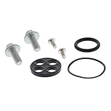 All Balls Racing 60-1039 Fuel Tap Repair Kit Compatible with/Replacement For KTM 450 SX ATV 2009-2010, 505 SX ATV 2010