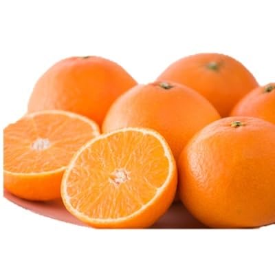 (創業108年)愛媛みかんの老舗厳選(紅まどんなと同品種)媛果まどんな2kg(C70-6)