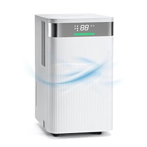 HAUSHOF Deshumidificador 12L/Día, Silencioso y Bajo Consumo, 3 Modos (Automático, Secado Continuo, Sueño), Sensor Digital e Indicador, Temporizador 24H, Tanque de 2L, Ideal para Hogar, Sótano y Baño