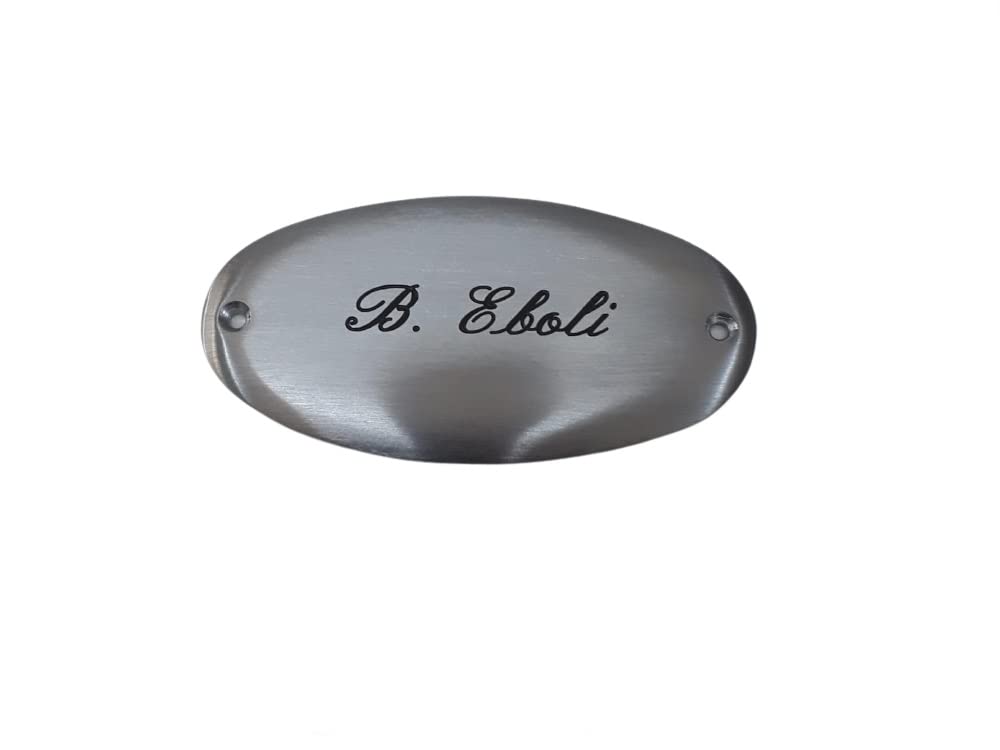 TARGA porta nome OTTONE ovale cromato satinato tipo argento 12,2x6,3 cm,1 O 2 RIGHI,CORSIVO INGLESE O STAMPATELLO 2 FORI,INCISA,stanza porta CASA PERSONALIZZATA o targhetta defunto +1 PORTACHIAVI