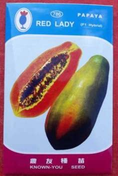 Red Lady 786 Papaya Taiwan Seeds F1 Hybrid Seed (2 Gram Seeds ) Seed (2 per packet) (B0BMM41YZL) Amazon Price History, Amazon Price Tracker