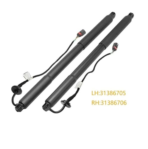 Vérin de coffre électrique robuste pour un levage fluide de hayon - 2