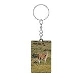Guanacos Alpacas Acrylic Keychain with Picture Bag Decorative Accessories Keychain for Car Keys Holiday Gift 1PC