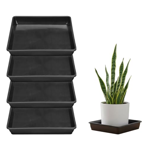 Platillos Cuadrados para Plantas Plato Plástico para Maceteros 22 x 22 cm Paquete de 4 Bandeja de Goteo de Agua de plástico, Macetas para Interior Exterior Jardín Terraza balcón