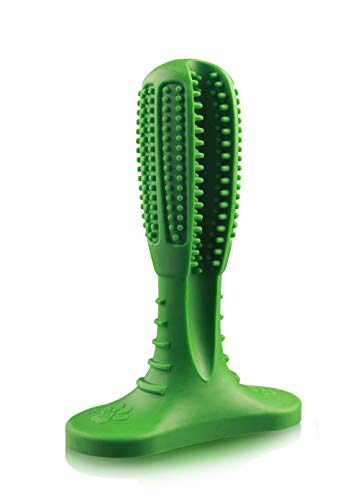 Pets First Natural Safe Rubber Dog Toothbrush Toy Treat for Dental Care, Green, Small - //coolthings.us