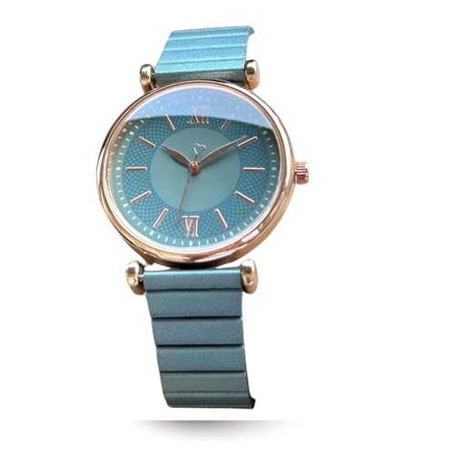 Image of EVRGLOW Analogue Wrist Watches for Women's Luxury Dial with Roman Marker Round Dial Stainless Steel Watch