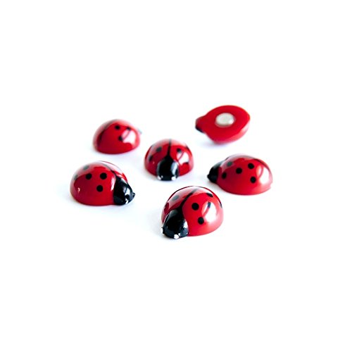 Assorted Animal Style Office Magnets - Lady Bugs (1 set of 6)