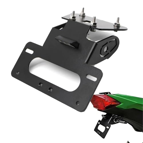 Support de plaque d'immatriculation arrière moto Kawasaki Ninja 300 EX300 Z300